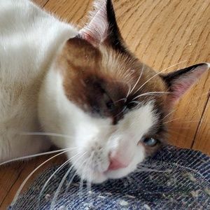 Meet your Posher, Aj